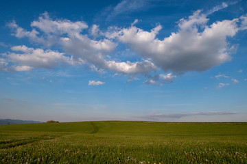 Widok na chmury ponad kwietną łąką