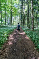 Wandern bei &Ouml;fingen Baden-W&uuml;ttemberg Deutschland
