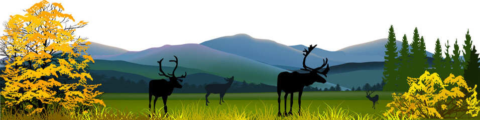 panorama with deers in front of fall mountains