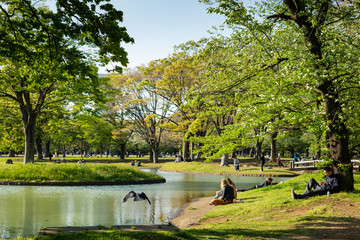 People spending time in public natural park