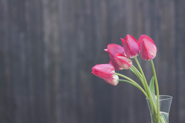 A bouquet of bright pink and tulips in a glass vase on a dark background