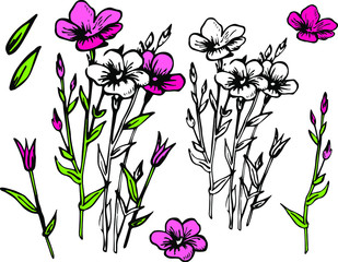 vector set with flowers