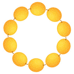 Wreath from yellow honeydew melon with space for text. Cartoon organic sweet food. Summer fruits for healthy lifestyle. Vector illustration for any design.