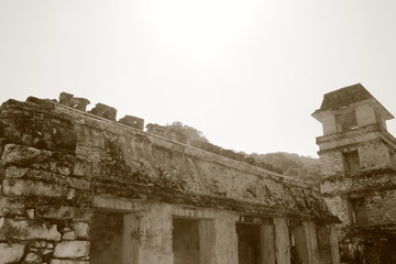 国境近くのマヤ遺跡　世界遺産　パレン家遺跡（メキシコ）