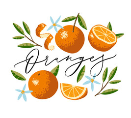 Collection of Oranges, Flowers and Leaves isolated on white background. Vector Calligraphy inscription.