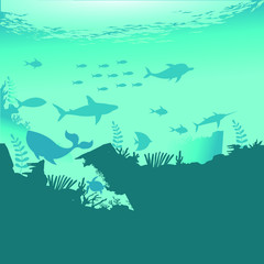 Ocean Life landscape