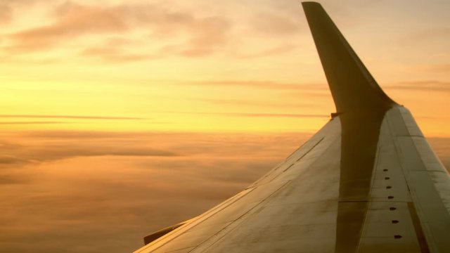 flying airplane white wing winglet against breathtaking morning sky view of tender blue and pink colors extreme closeup. Concept airplane travel