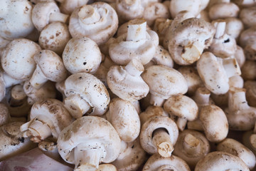 champignon mushrooms or agaricus background or texture