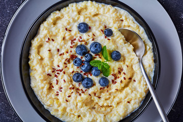 millet porridge topped with flax seeds, top view