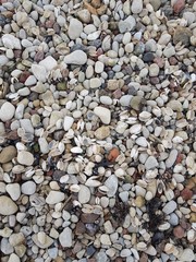 Pebble. Shell. Stones and shells. Background of pebbles. Sea shore. Shells on the beach. Background texture shot from above.