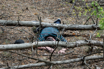 A body in the woods. A dead man in a blue t-shirt and trousers is pinned down by a fallen tree. Concept of accidents in the forest.