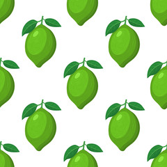 Seamless pattern with fresh bright exotic whole lime fruit on white background. Summer fruits for healthy lifestyle. Organic fruit. Cartoon style. Vector illustration for any design.