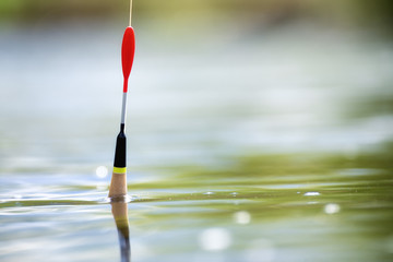 Fishing float in the water