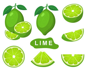 Set of fresh whole, half, cut slice lime fruits isolated on white background. Summer fruits for healthy lifestyle. Organic fruit. Cartoon style. Vector illustration for any design.
