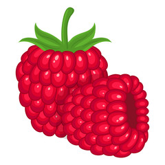 Fresh bright exotic whole raspberry group isolated on white background. Summer fruits for healthy lifestyle. Organic fruit. Cartoon style. Vector illustration for any design.