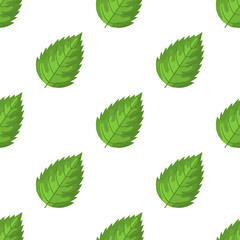Seamless pattern with decorative green raspberry leaves on white background. Vector illustration for any design.