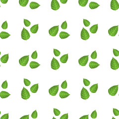 Seamless pattern with decorative green raspberry leaves on white background. Vector illustration for any design.