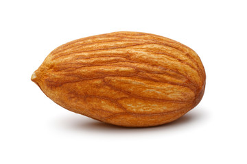 Single almond isolated on white