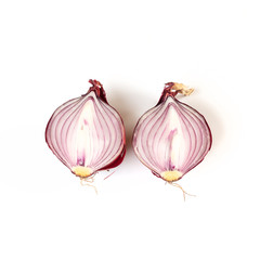 Onion's evolution