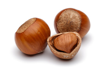 Fresh hazelnut isolated on white