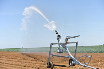 arrosage eau secheresse agriculture