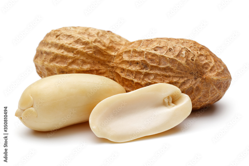 Canvas Prints peanut isolated on white background