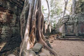 Fototapeta na wymiar Cambodia. Angor Wat. Temple of the prom. The temple where they shot the film Lara Croft. Story. Ancient world. Nature and man. Antiquity. Ancient temples. Ruin. Tree roots
