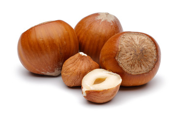 Fresh hazelnut isolated on white