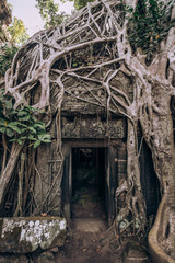 Cambodia. Angor Wat. Temple of the prom. The temple where they shot the film Lara Croft. Story. Ancient world. Nature and man. Antiquity. Ancient temples. Ruin. Tree roots © Margarita Timofeeva