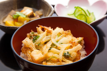 Japanese food: photo of Kakiage don