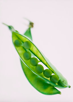 imege＿beanpod04