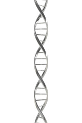 DNA, Medical Science, 3D Illustration