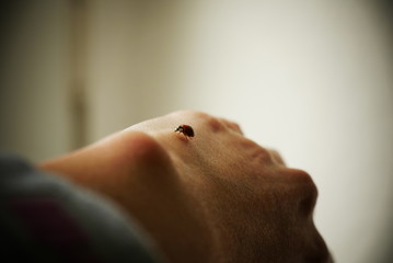 a ladybug walking on a young woman's hand