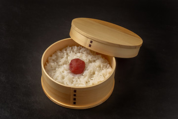 おべんとう　Japanese style famous lunch box (bento)