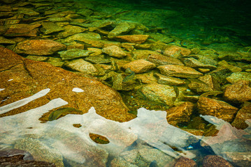 Fish and seaweed on the rocks in the mountain lake