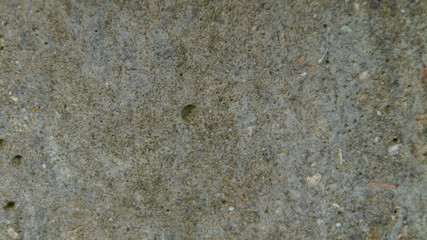 Texture vecchio muro in cemento