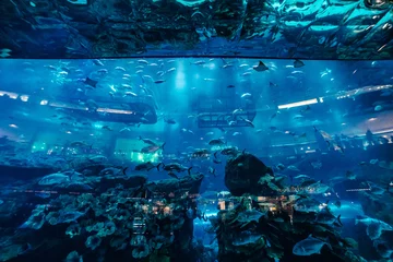 Schilderijen op glas A huge aquarium with blue water and big fish in Dubai   UNITED ARAB EMIRATES, DUBAI - 17 OCTOBER 2017. © Руслан Секачев