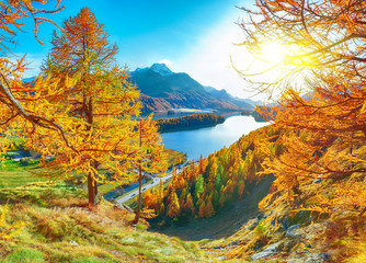 Astonishing autumn panorama over Sils im Engadin (Segl) village and Sils lake(Silsersee)
