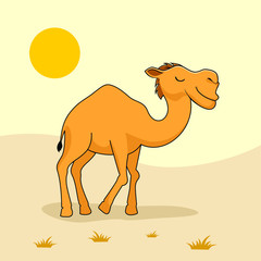 Camel Cartoon Animals in Desert