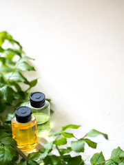Cosmetic bottle containers on white background. Natural organic product