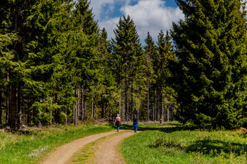 Wandern an verschiedenen Orten durch den Thüringer Wald - Thüringer Wald / Deutschland