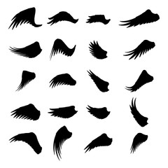 Isolated silhouette wings bird animal angel fly design set vector illustration