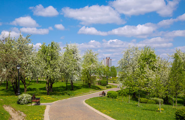 Spring in the city park