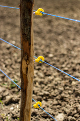 view of a cultivated vegetable garden fenced with electric current against wild boars