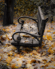  Ławka pokryta jesiennymi liściami