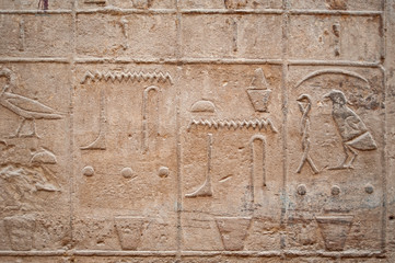 Hieroglyphic carvings on an ancient egyptian temple wall