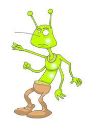 Fototapeta premium Insecte
