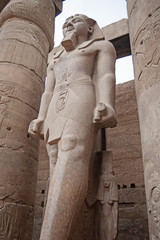 Statue and hieroglyphic carvings at an ancient egyptian temple