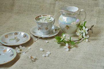 porcelain plates on a beige linen background with white flower petals