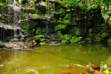 Waterfalls  in the park